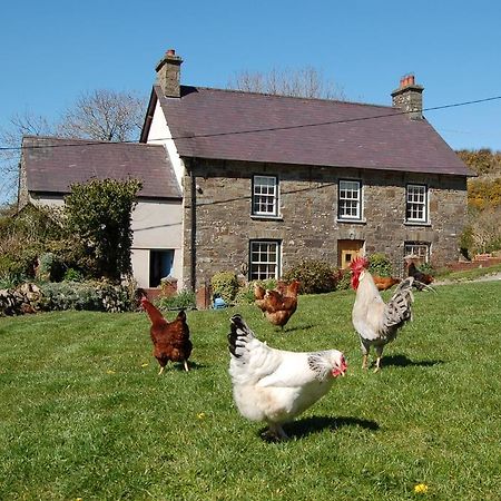 Nantgwynfaen Organic Farm Wales Llandysul Exterior foto