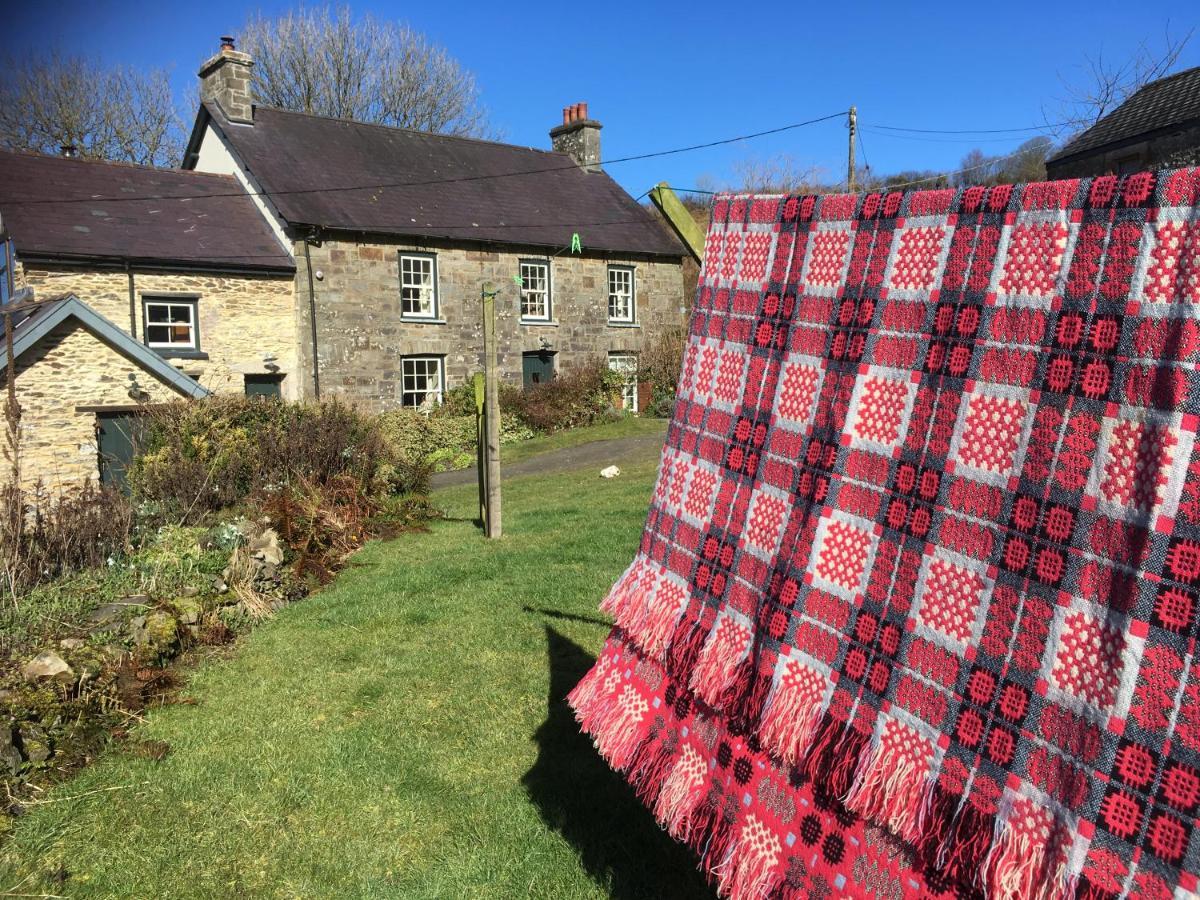 Nantgwynfaen Organic Farm Wales Llandysul Exterior foto