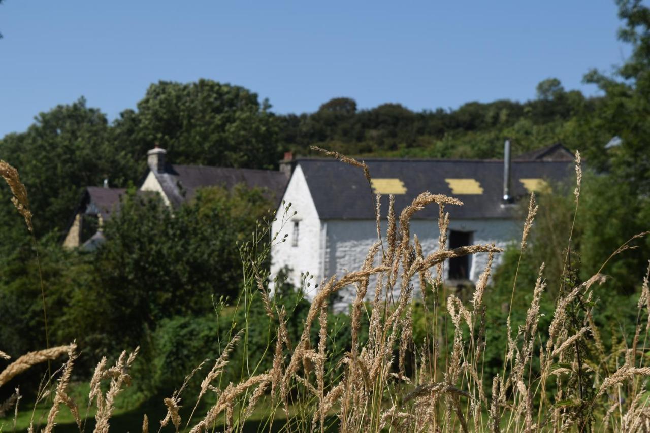 Nantgwynfaen Organic Farm Wales Llandysul Exterior foto