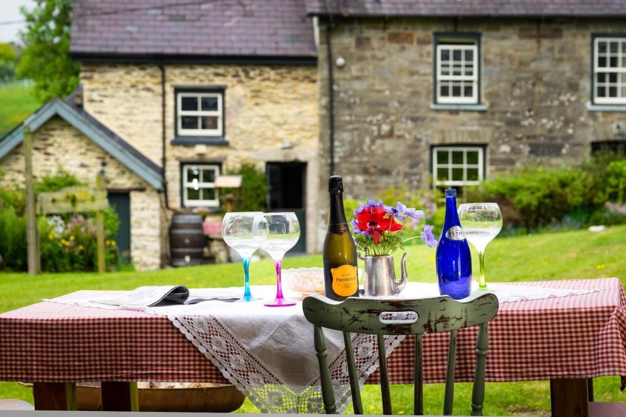 Nantgwynfaen Organic Farm Wales Llandysul Exterior foto