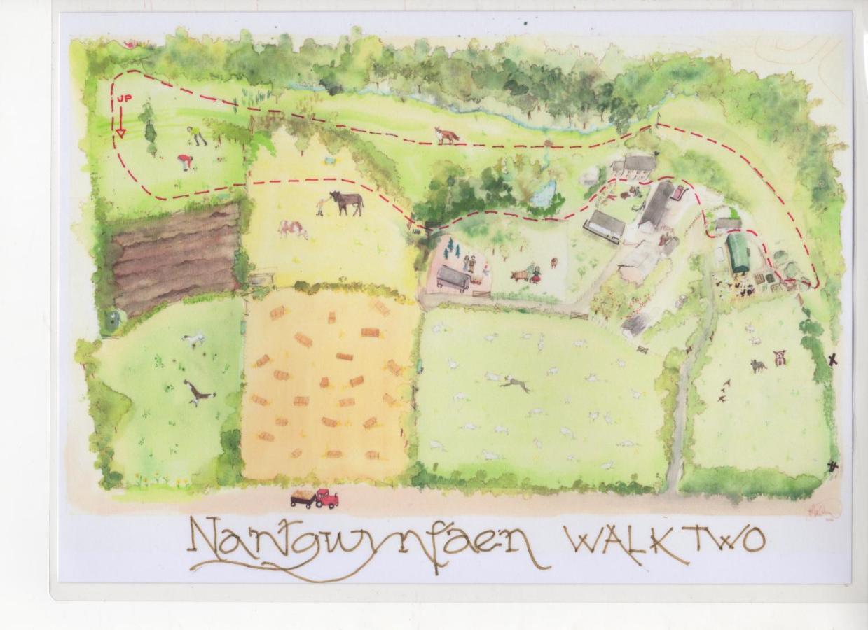 Nantgwynfaen Organic Farm Wales Llandysul Exterior foto