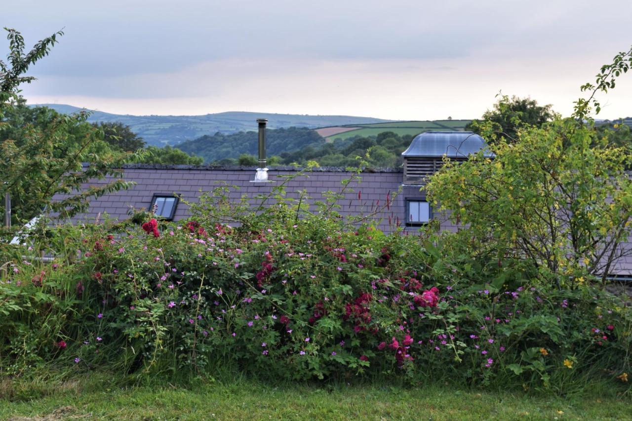Nantgwynfaen Organic Farm Wales Llandysul Exterior foto