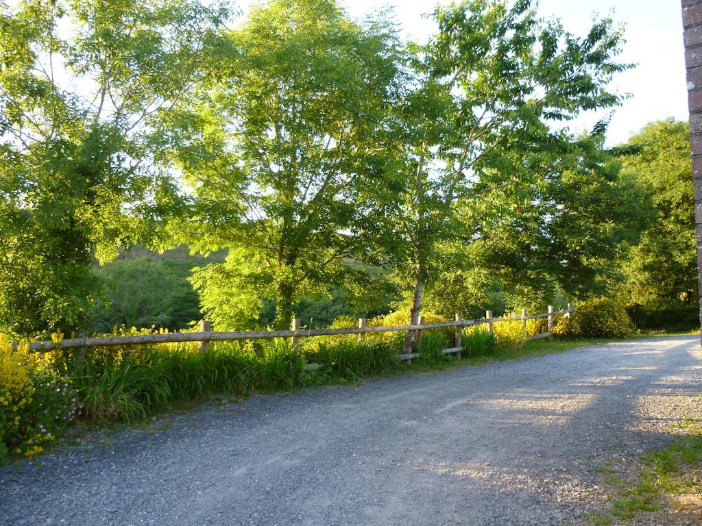 Nantgwynfaen Organic Farm Wales Llandysul Exterior foto