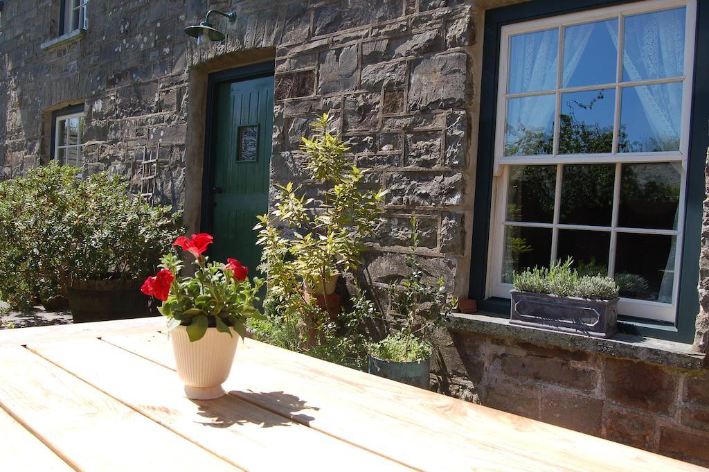 Nantgwynfaen Organic Farm Wales Llandysul Exterior foto
